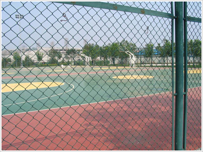 武汉市球场围网图片3