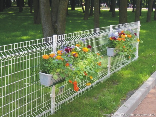 园林景区案例图片4 园林景区案例图片4