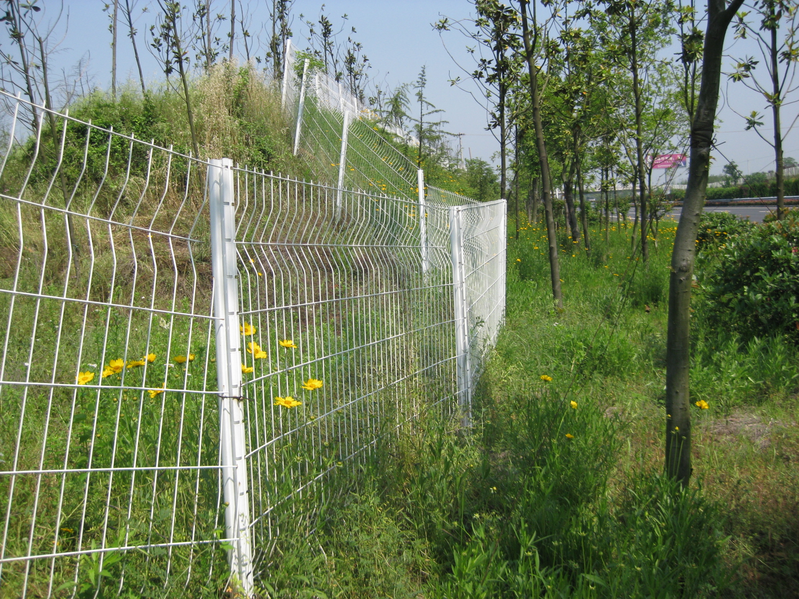 海口市园林景区案例图片6