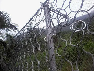 郑州市环形被动防护网图片2 郑州市环形被动防护网图片2